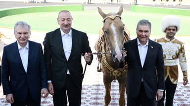 Azərbaycan Prezidentinə "Axaltəkə" atı hədiyyə edildi (FOTO)