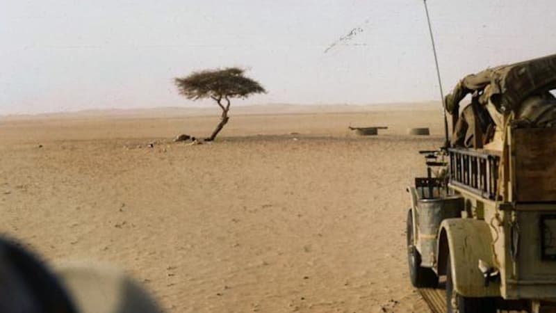 Bir ağac təbiət qanunlarına meydan oxudu və Afrikanın əfsanəsinə çevrildi