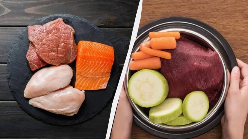 Ət yeyənlər vegetarianlardan daha uzun yaşaya bilər - Araşdırmanın nəticəsi