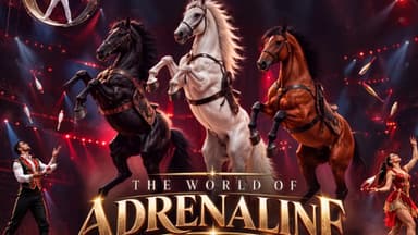 Bakıda "The World of Adrenaline" adlı yeni beynəlxalq sirk proqramı başlayır